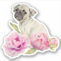 Joli Carlin Chien Chien Rosé Floral
