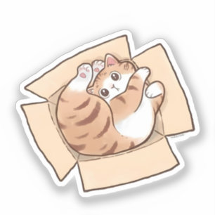 Sticker Joli Chat Calico dans une Boîte en Carton