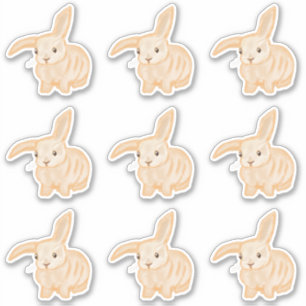 Sticker Joli lapin lapin Brown - 9x découpé.