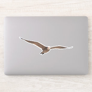 Sticker Jolie Goéland d'oiseaux de mer en vol coupé Sticke