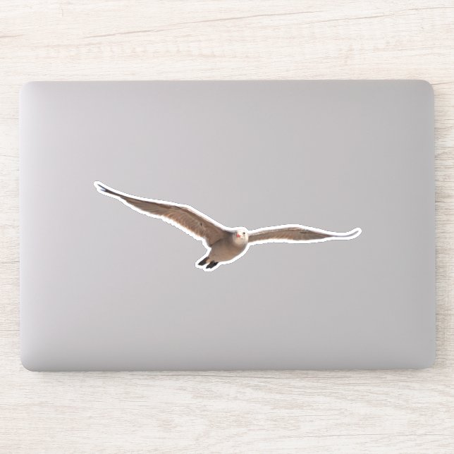 Sticker Jolie Goéland d'oiseaux de mer en vol coupé Sticke (Ordinateur)