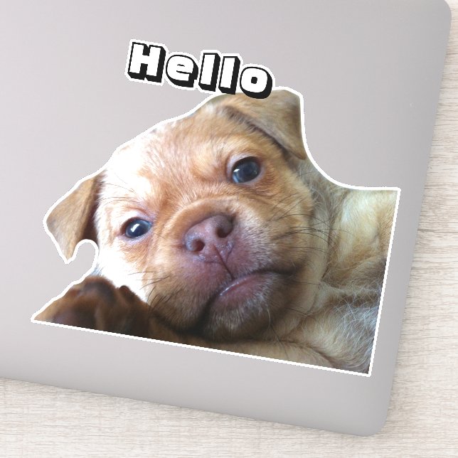 Sticker Jote Chiot Dit Bonjour Téléphone Décoration (Détail)