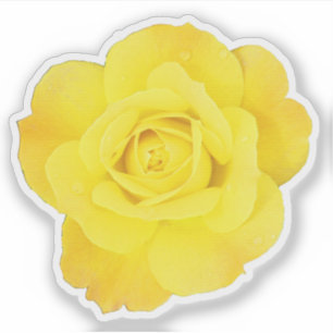 Sticker Journée de l'amitié Rose jaune Mariages Floral