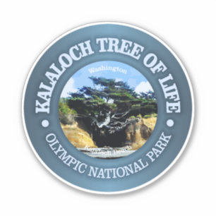 Sticker Kalaloch Tree of Life