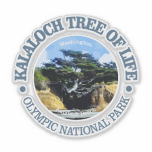 Sticker Kalaloch Tree of Life