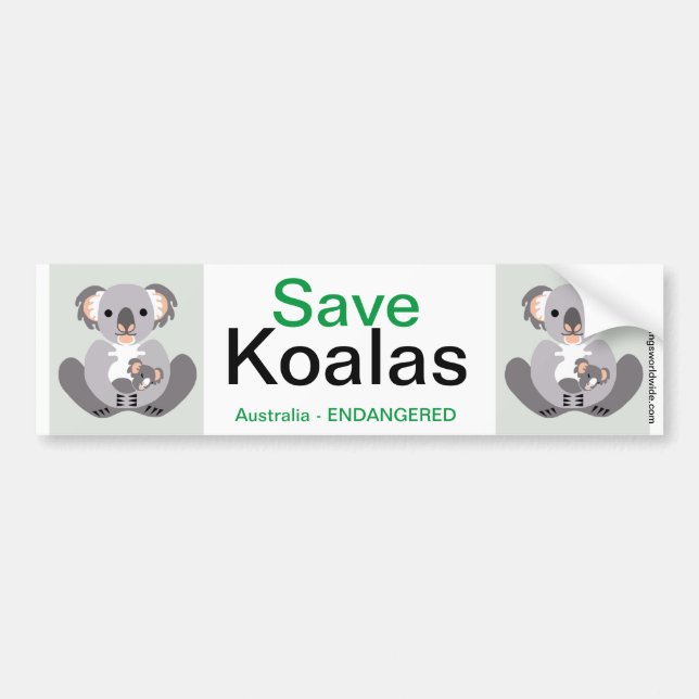 Sticker Koala-Bumper (Devant)