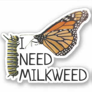 Sticker Lait Pour Papillons Monarques