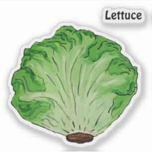 Sticker Laitue