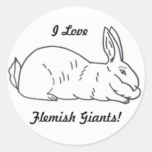 Sticker lapin géant flamand