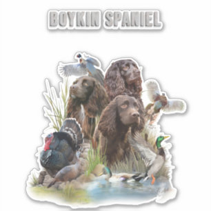 Sticker Le Boykin Spaniel