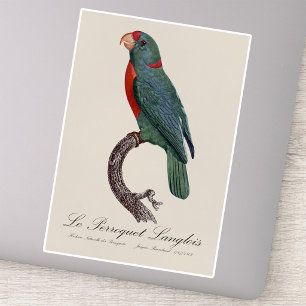 Sticker Le Perroquet Langlois