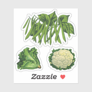 Sticker Légumes vintages Haricots verts Laitue Chou-fleur