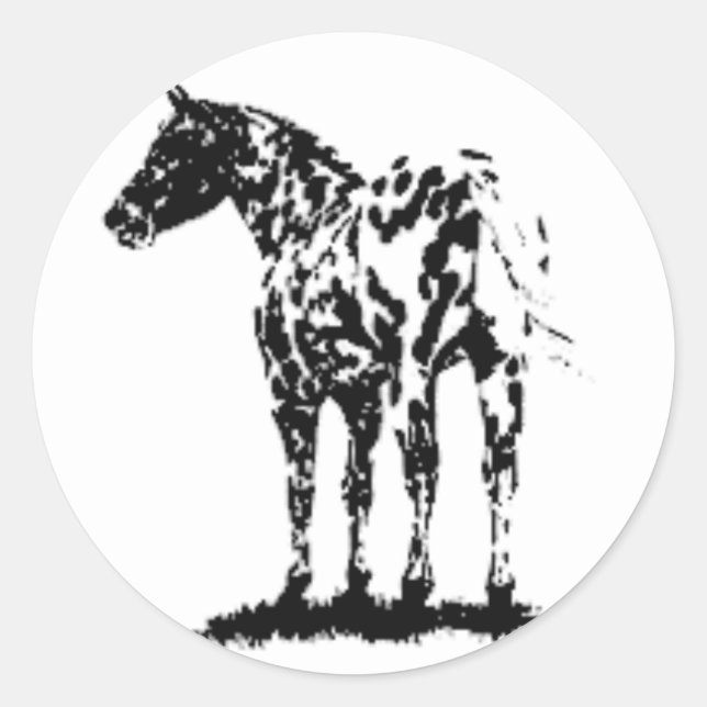 STICKER — LEOPARD APPALLOSA (Vorderseite)