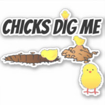 LES POUSSINS M'AIMENT BIEN