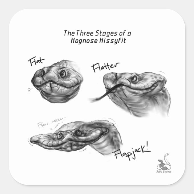 Sticker "Les trois étapes d'un Hognose Hissyfit" (Devant)