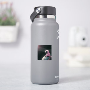 Sticker L'Explorateur Calme