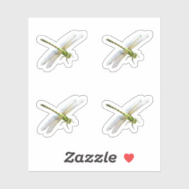 Sticker libellules
