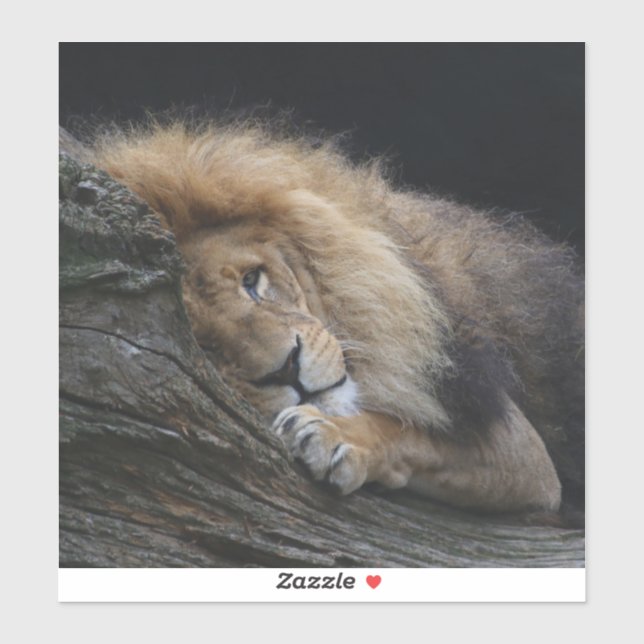 Sticker Lion 030 (Feuille)