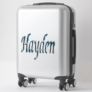 Sticker Logo du nom Hayden