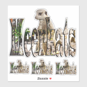 Sticker Logo Photo Meerkat Avec Meerkats,