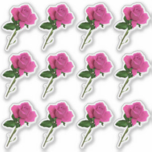 Sticker longue tige rose feuille feuille