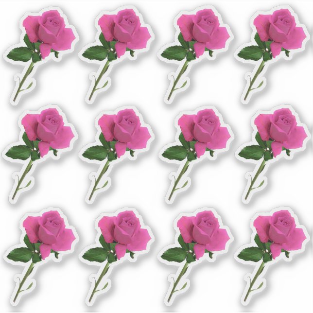 Sticker longue tige rose feuille feuille (Devant)