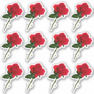 Sticker longue tige rouge feuille rose