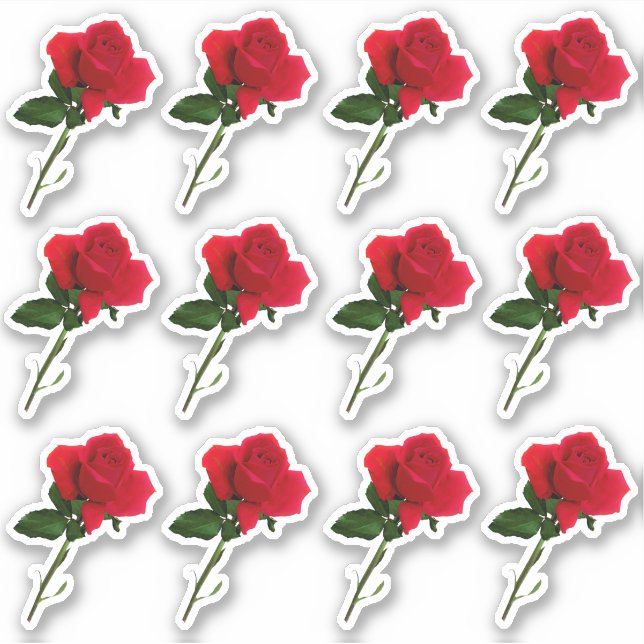 Sticker longue tige rouge feuille rose (Devant)