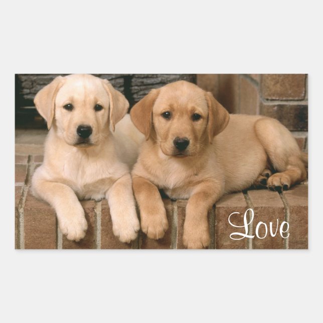 Sticker Love Labrador Retriever Puppies (Devant)