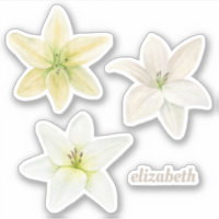 Lys blanc aquarelle. Fleurs de jardin. Floral