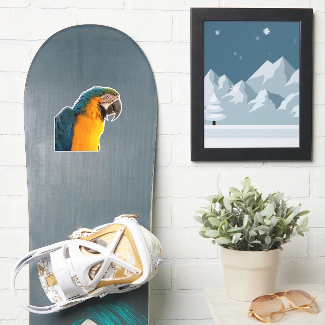 Sticker Macaw bleu (Snowboard)