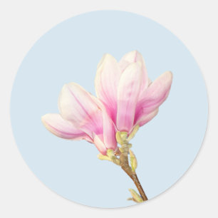 Sticker Magnolia Rose