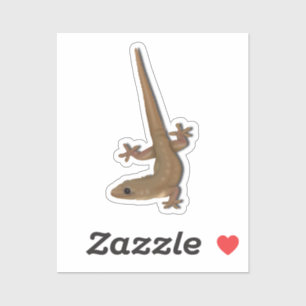 Sticker Maison commune Gecko