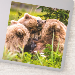 Sticker Mama bear nourrit ses deux petits, Lake Clark Nati