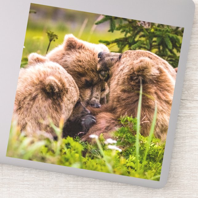 Sticker Mama bear nourrit ses deux petits, Lake Clark Nati (Détail)