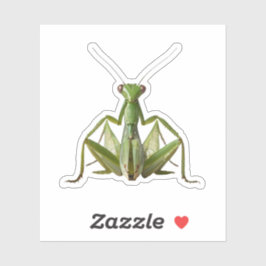 Sticker Mantis de prière verte