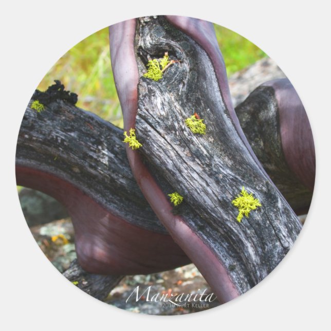 Sticker Manzanita (Devant)