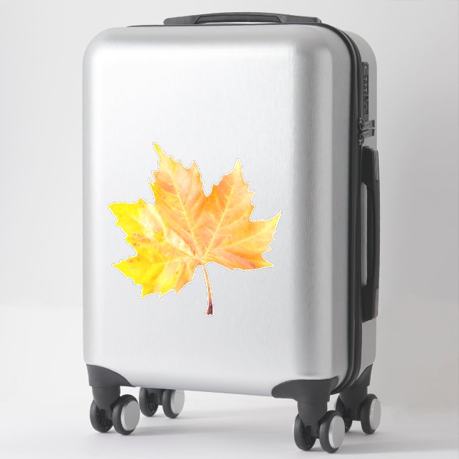 Sticker Maple autumn (Sur valise)