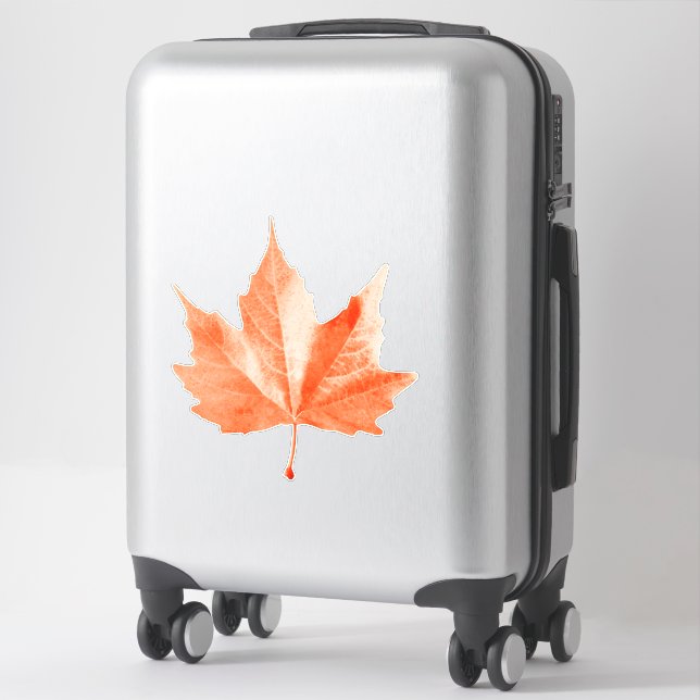 Sticker Maple autumn (Sur valise)