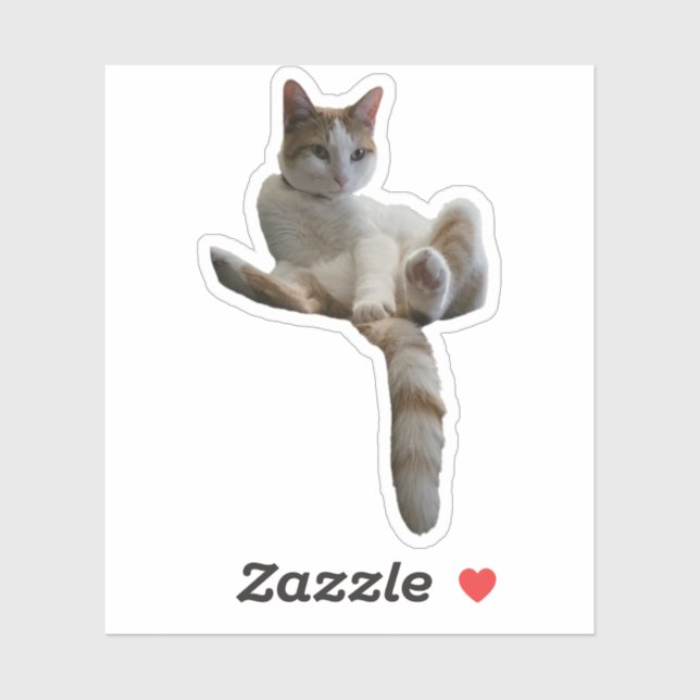 Sticker Maybe You Should Cover That Up? Cat (Feuille)