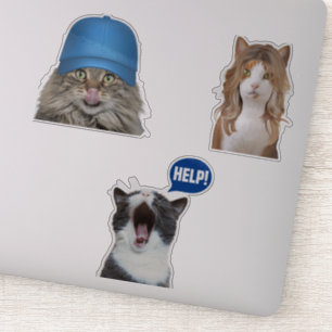 Sticker Mèmes de chat fou