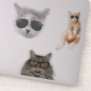 Sticker Mèmes de chats amusants