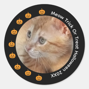 Sticker „Meow Halloween“, Text auf Foto anpassbar,