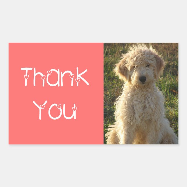 Sticker Merci Goldendoodle Chien Chien Coquelicot  (Devant)