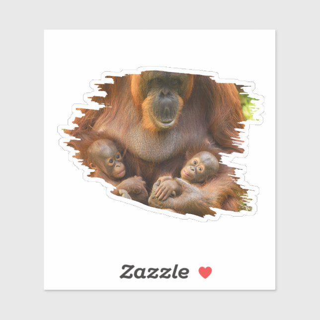 Sticker Mère Orangoutane tenant deux bébés (Feuille)