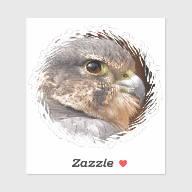 STICKER MERLIN FALCON OISEAU DE PREY (Feuille)