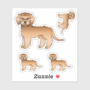 Sticker Mini Goldendoodle abricot Chien de dessin animé mi