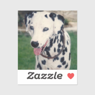 Sticker Mon ami pour animaux de compagnie Photo personnali