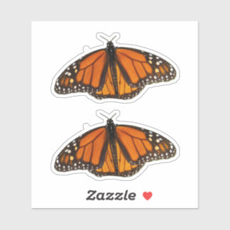 Sticker Monarch Butterfly Open Wings