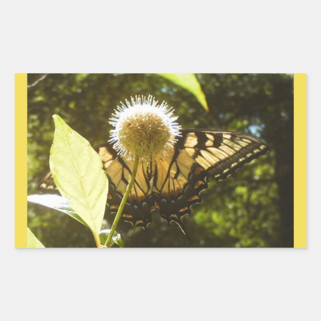 Sticker Monarque Jaune (Devant)